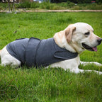 Classic Dog Anxiety Jacket Breathable Thunder Vest For Dogs Thunder Vest For Dogs Anxiety Shirt Dog Clothes For Anxiety Stress