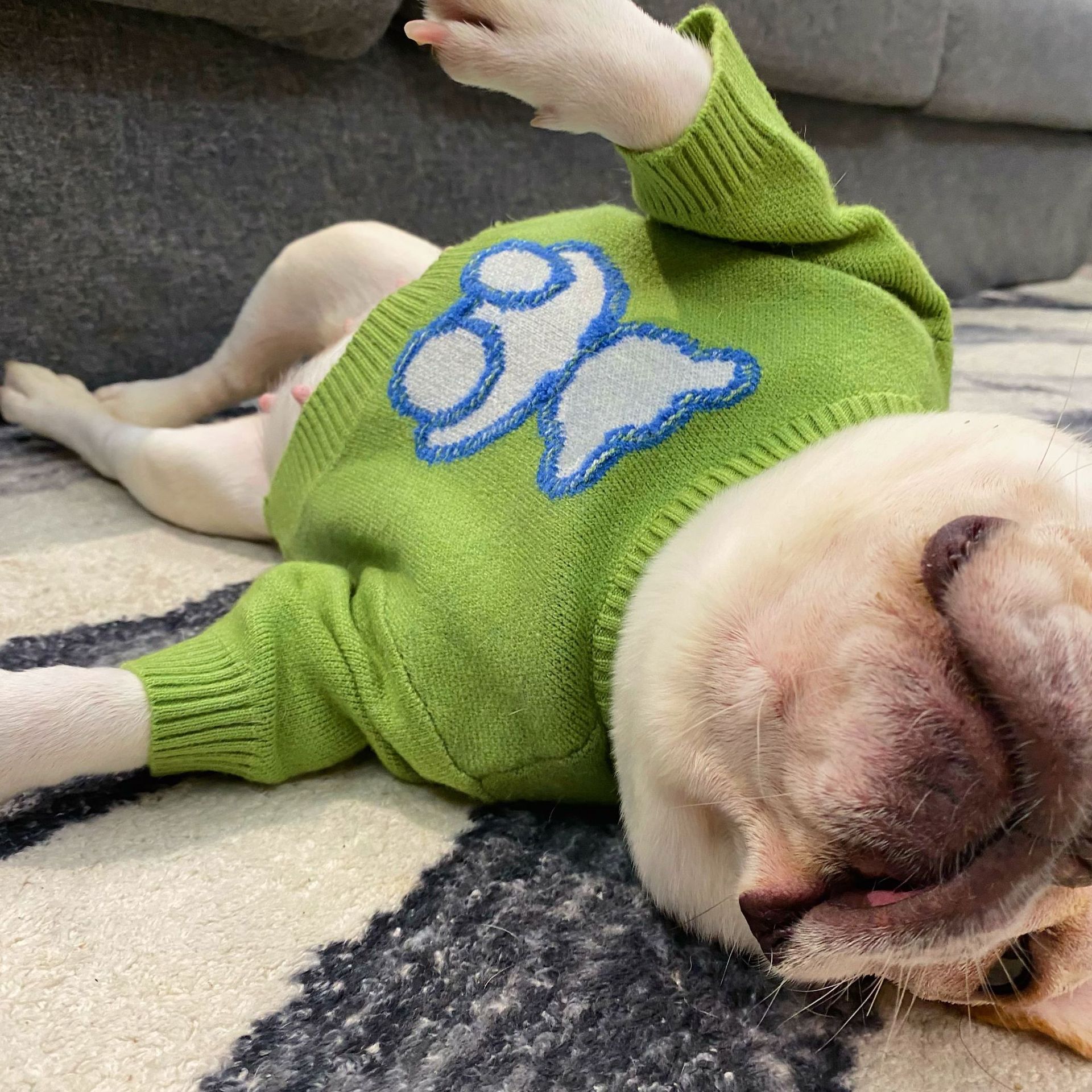 Pet Clothes Dog Cat Puppy Fall Winter Sweater