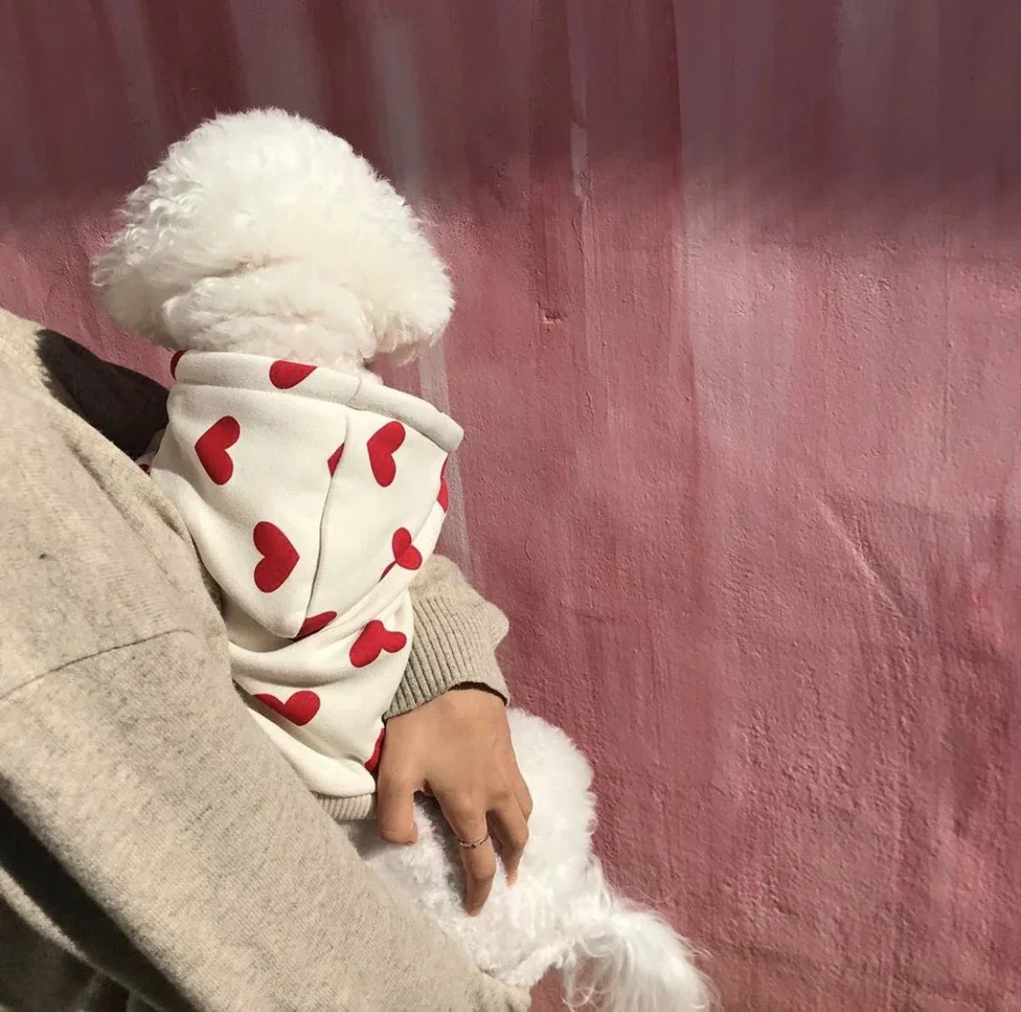 ژاکت گرم و بامزه طرح عشق برای حیوانات خانگی