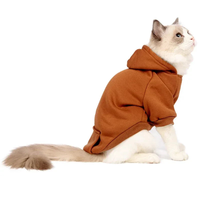 Petits et moyens chiens portant casquettes et vêtements en polaire